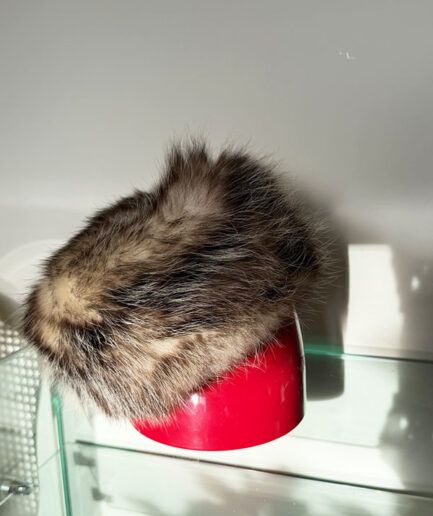 VINTAGE Gorro Ruso zorro mocca 20